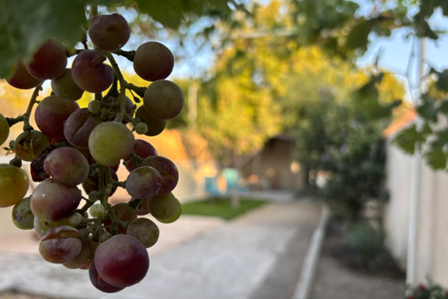 Hébergement Camargue Salin-de-Giraud