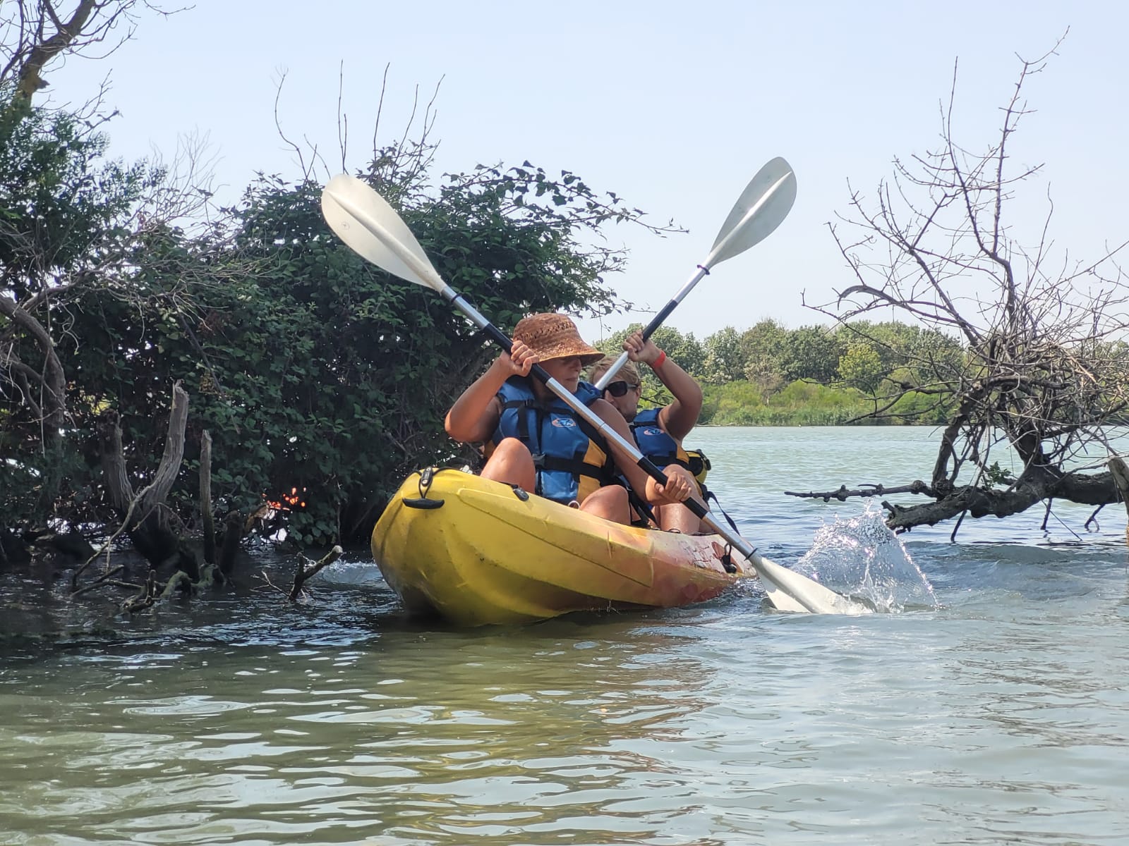 Kayak à Salin de Giraud