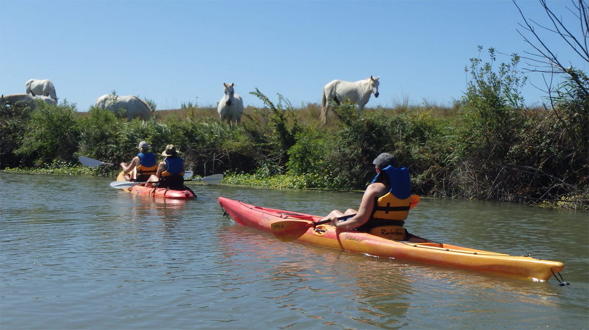 Kayak en Camargue